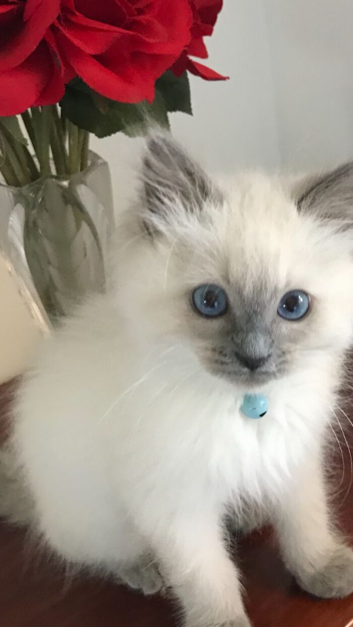 My Beautiful Boy,oliver.