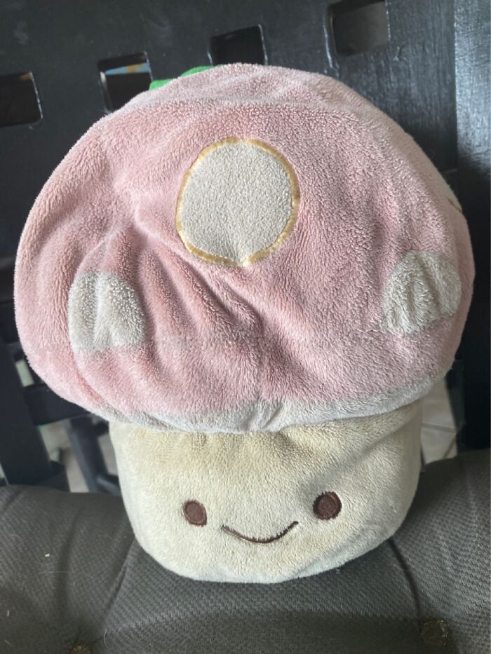 Mushroom The Mushroom (Since 2006) My Dad Gave It To