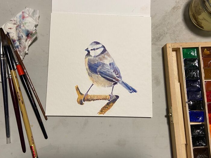 I Just Draw This Bird