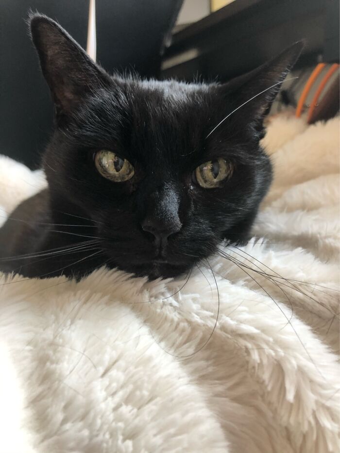 Wednesday, And She Just Turned 18 On Saturday.