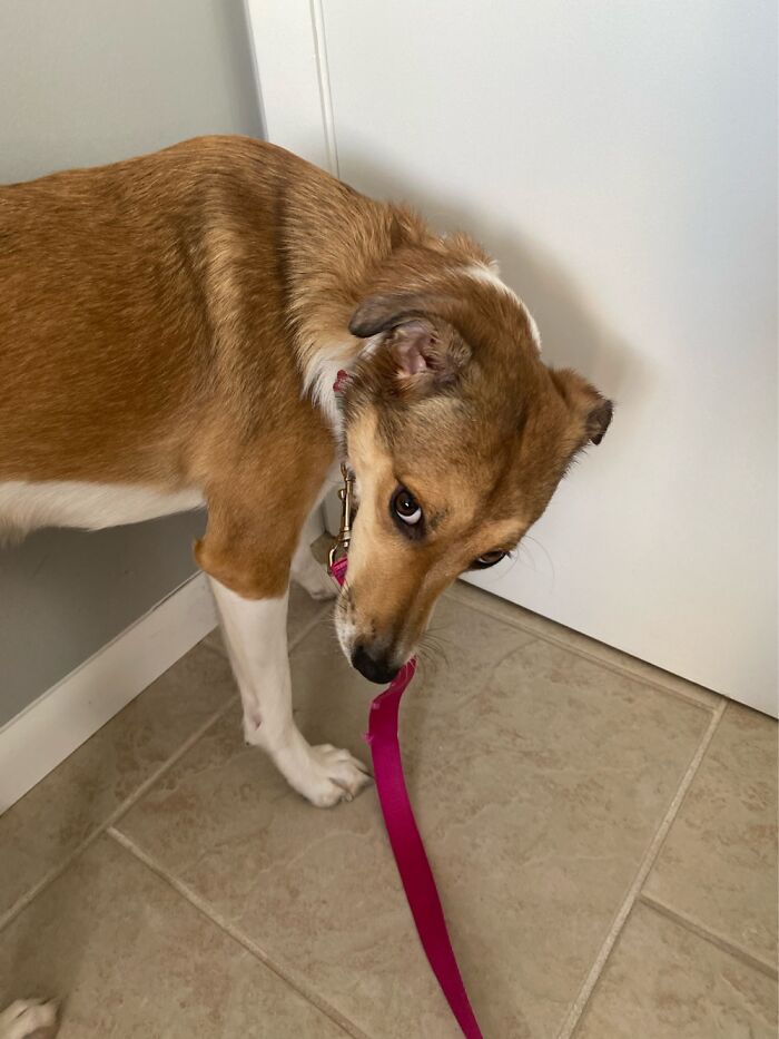 Izzy Rose Wants To Go Home