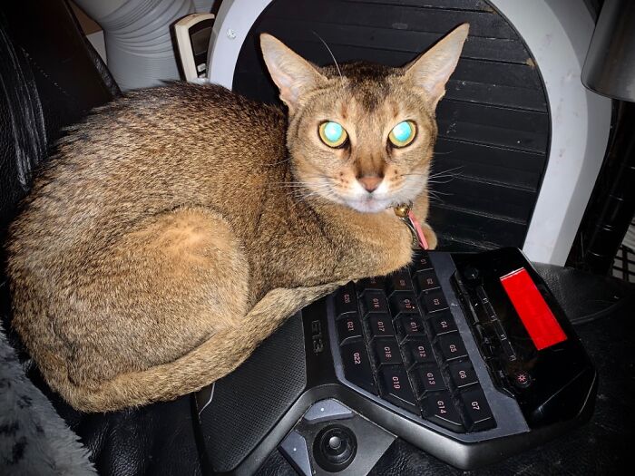 She Only Likes My Husband