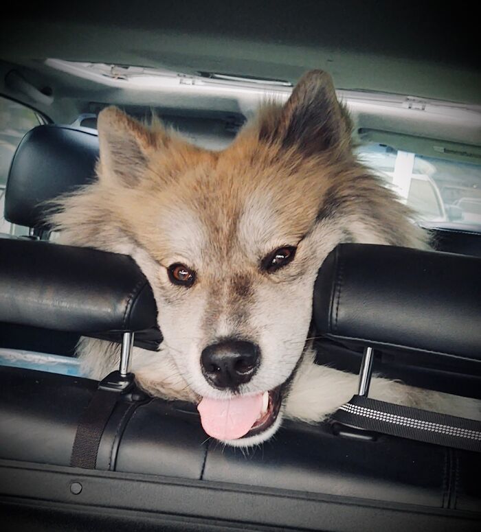 Smile And The Whole World Smiles With You.