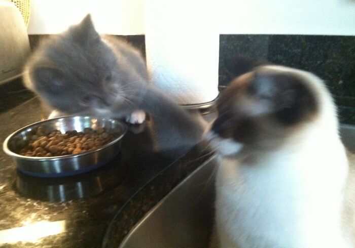 Gus Did Not Wish To Share!