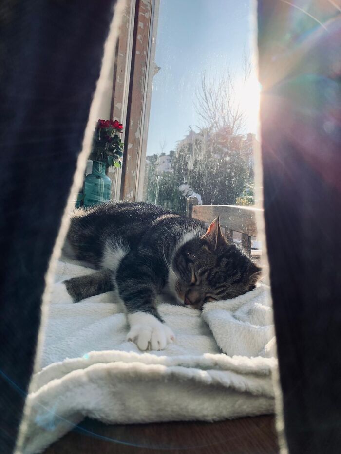 Jimmy, Rescued Age 6