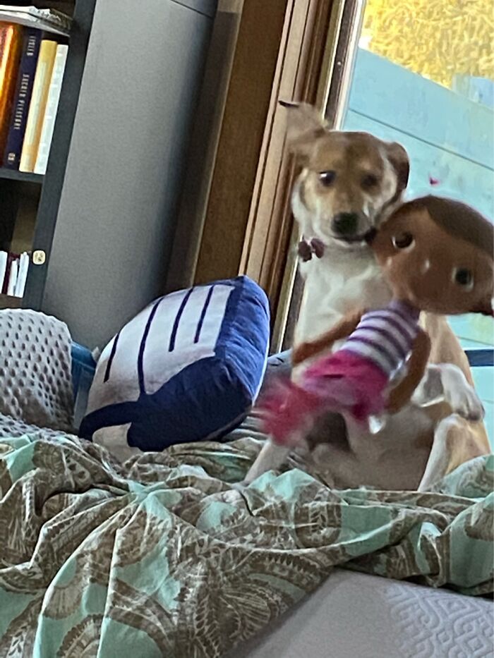 Destroying Doc Mcstuffins