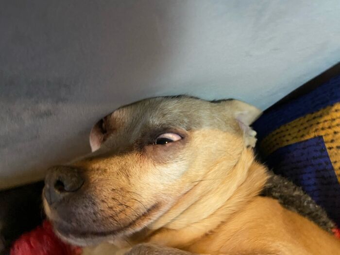 Possesses By Demons!