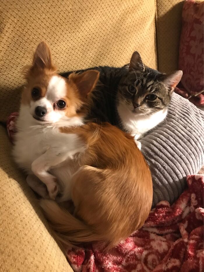 Flossie With Her Best Friend Charlie Xx