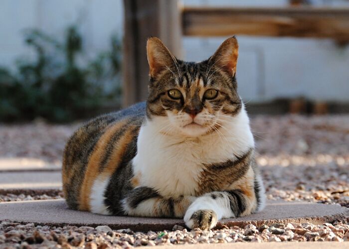 She Won The Staring Contest Lol