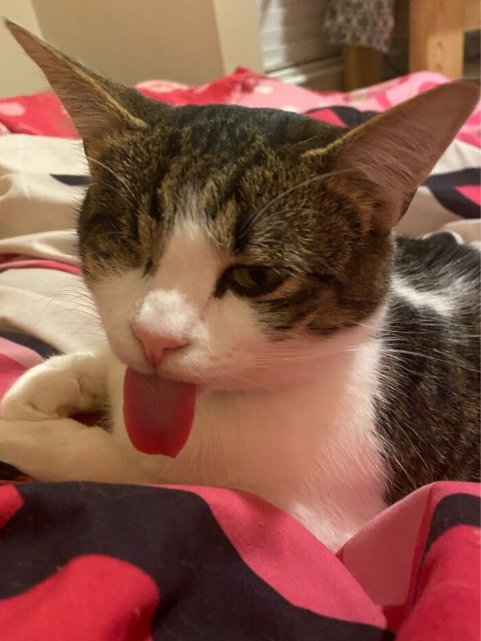 Head Empty No Thoughts