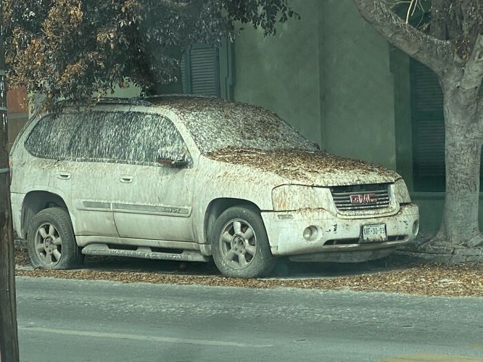 I Think Someone Saw Their Truck Like This And Decided They Didn’t Want It Anymore...