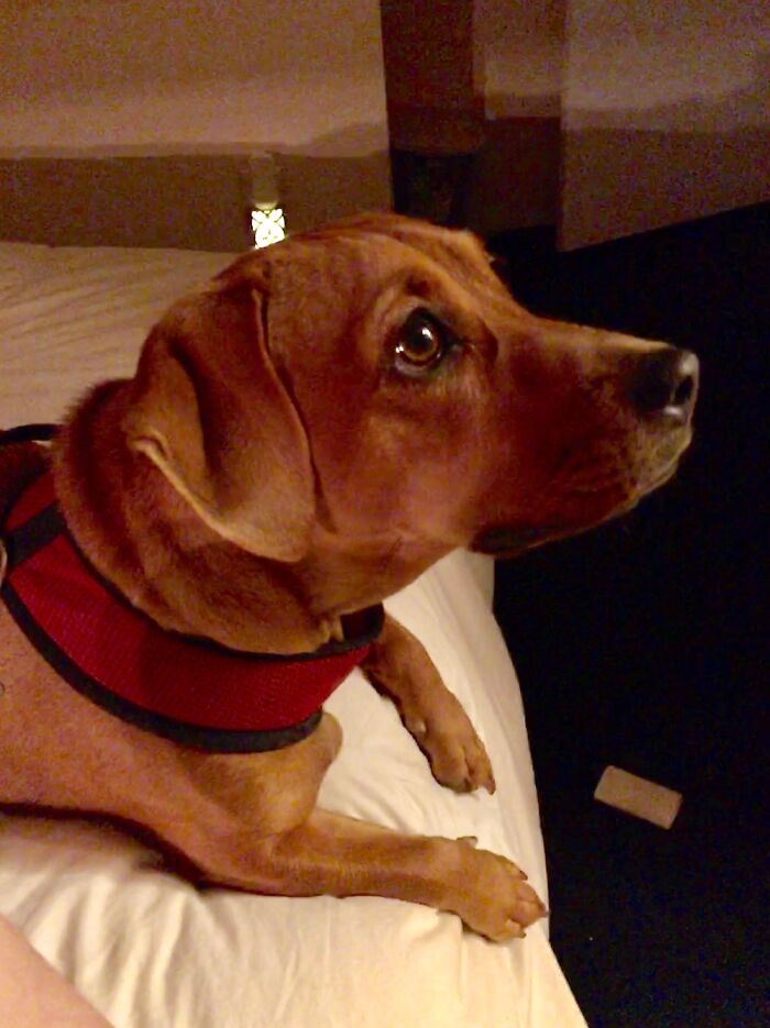 Zoe Trying To Look As Wholesome As Possible!