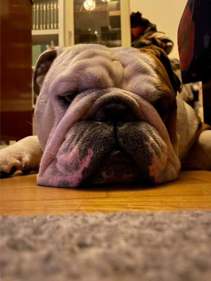 Dungus Says Hi From Sweden.