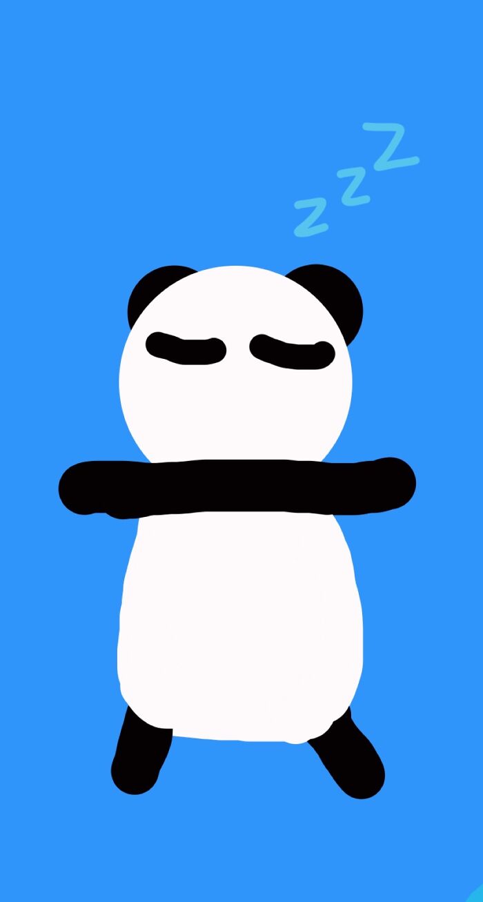 Panda Sleeping T