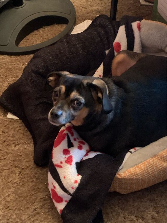 Rey, My Little Savior.