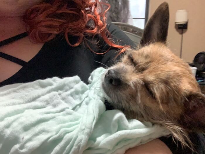 Oliver, The Newest Member Of Our Family