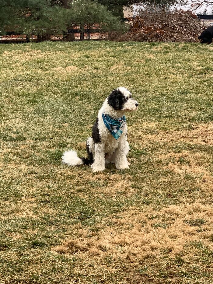 When It’s Cold Out Let’s Just Sit And Not Potty