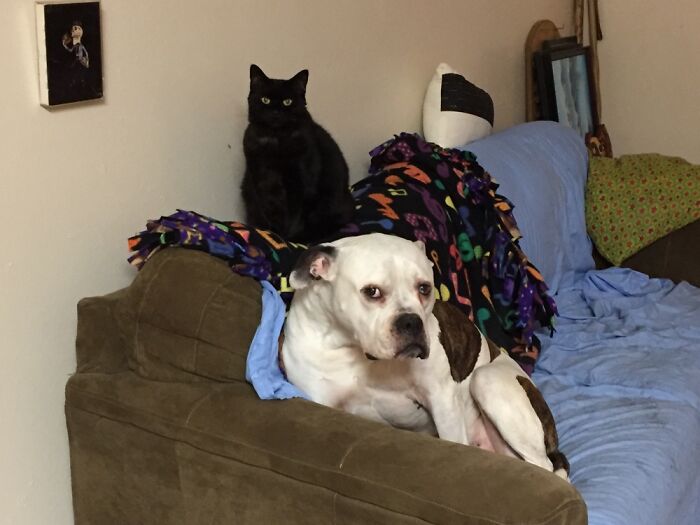 He’s Right Behind Me, Isn’t He?