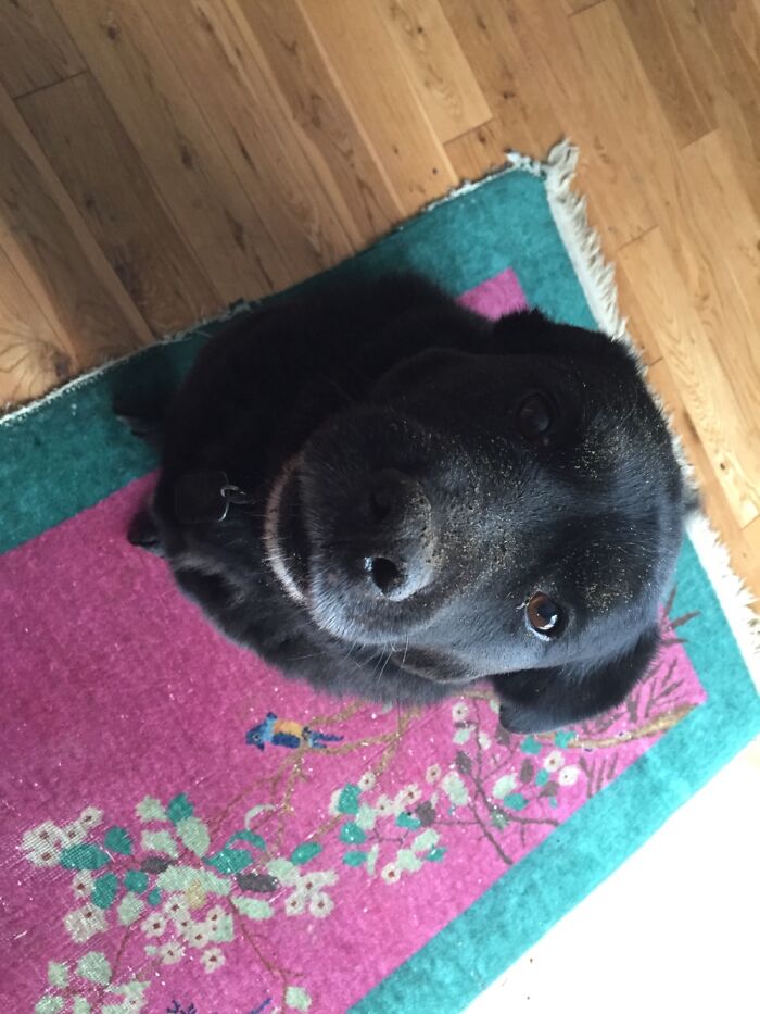 What Dirt Pile? I Wasn’t Digging.