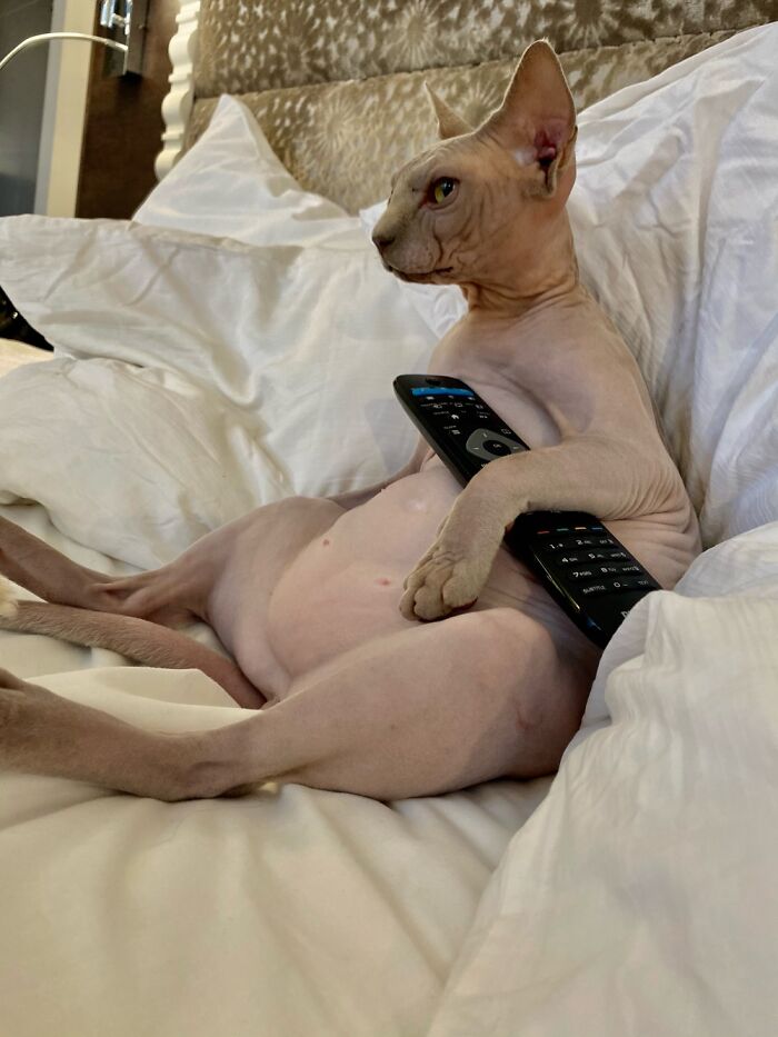 That’s How I Spend My Evenings