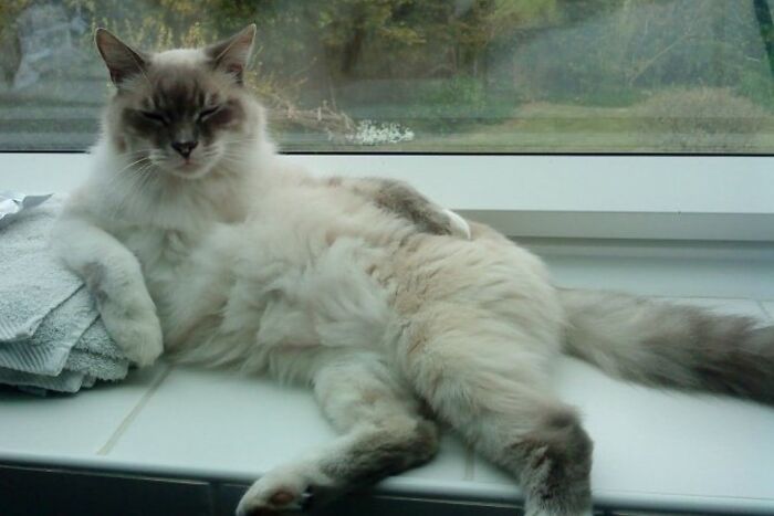 I'm A King! A Sexy King!