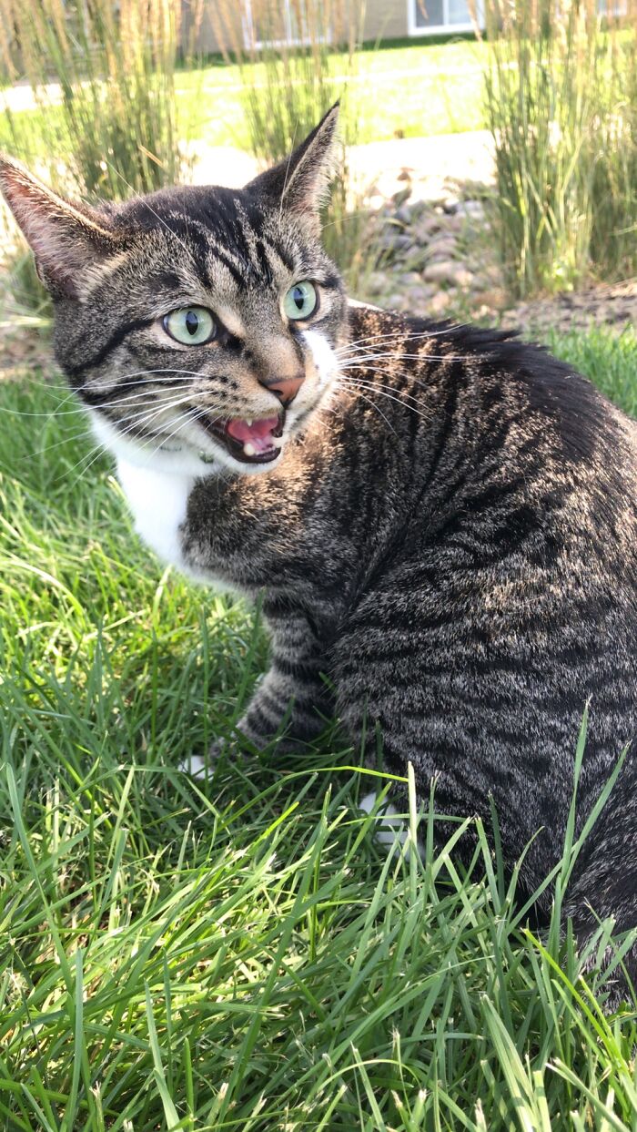 Get Off My Lawn!! -Lennon