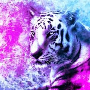 oliviazhe1344 avatar