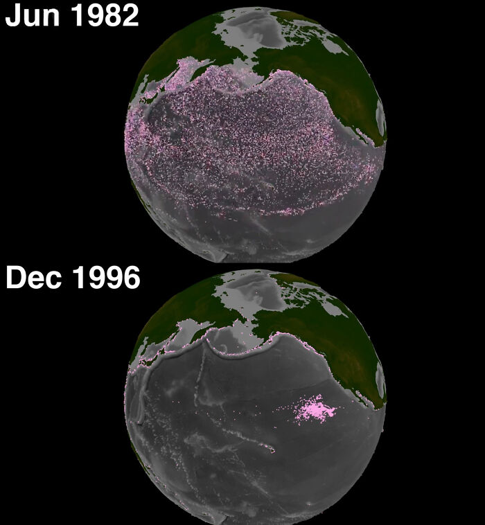 The Great Pacific Garbage Patch
