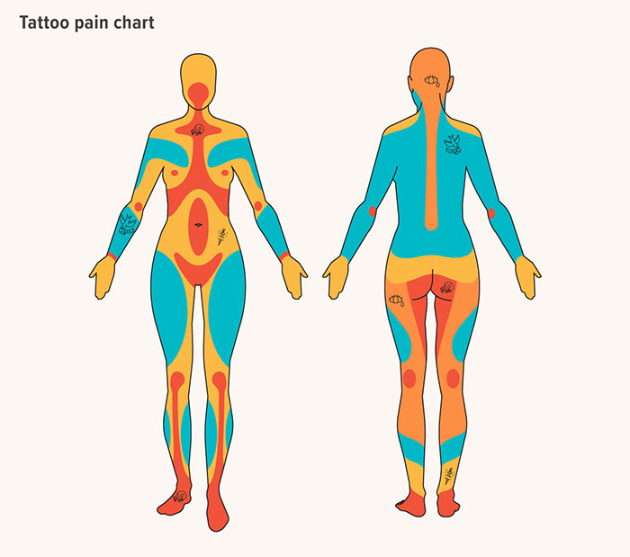 50 ‘Cool Guides’ People Shared On This Group That Contain Information They Don’t Teach At School