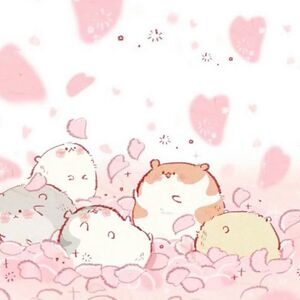 ameliaohxj1103 avatar