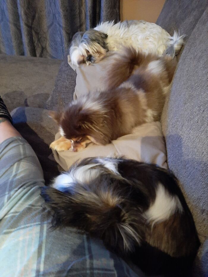 Shhhhh! We're Sleeping!