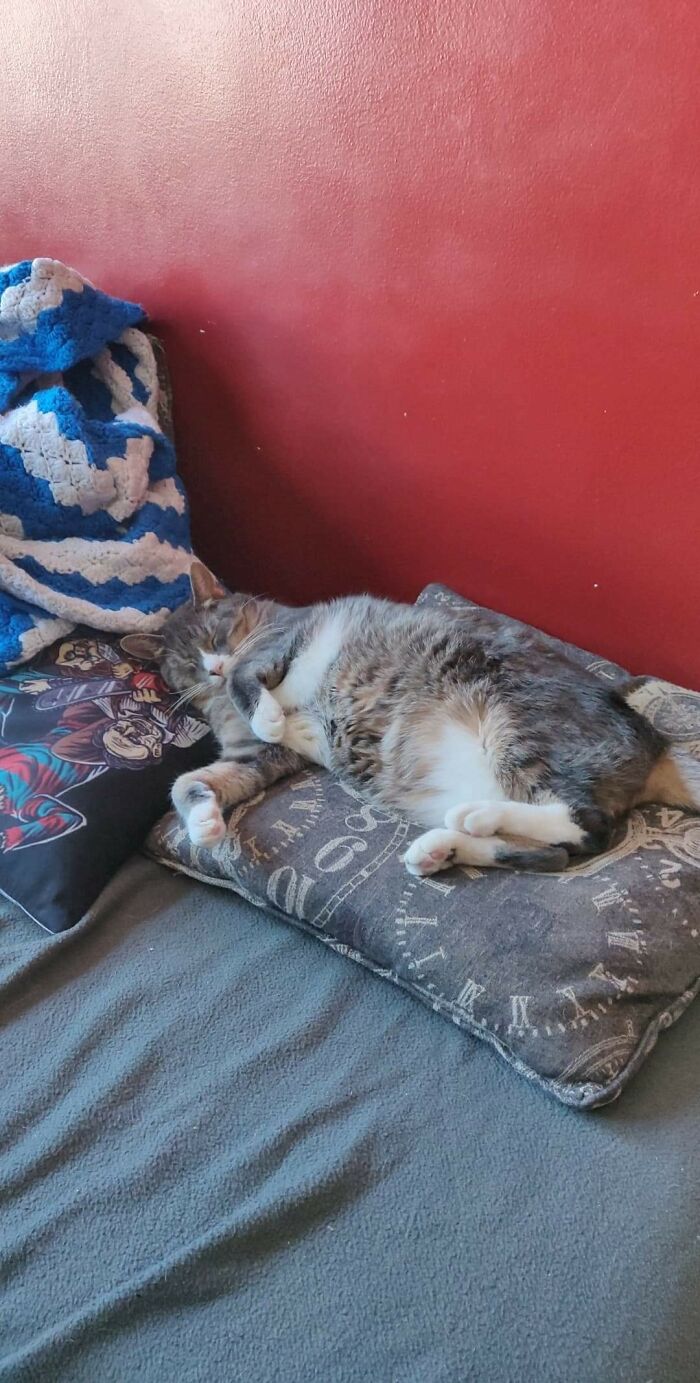 Magnus Knows How To Get Comfy