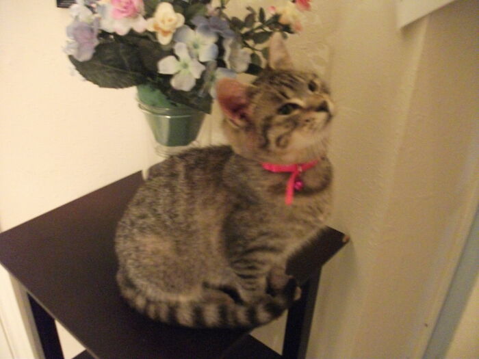 My Little Maya Looking Cute