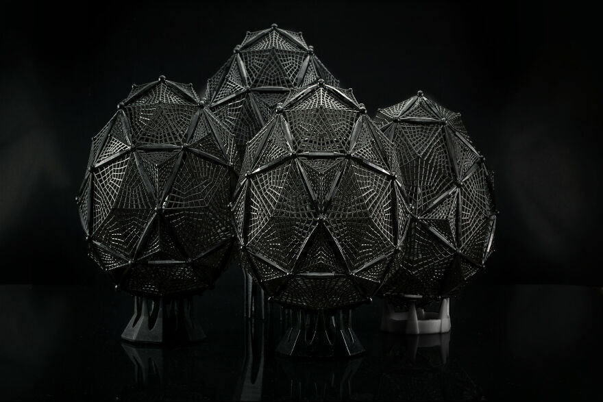 Easter Eggs "Parrocchetto" Black