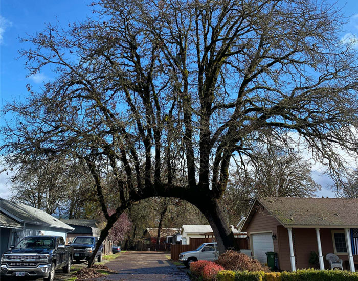 50 Cosas bastante interesantes vistas en la naturaleza que son realmente sorprendentes (nuevas fotos)