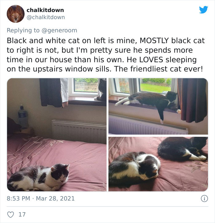 My-Home-Not-My-Cat-Pics