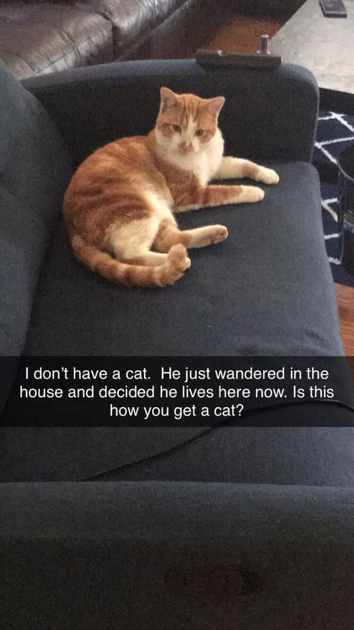 Here’s Lando Catrissian’s Mhnmc Story