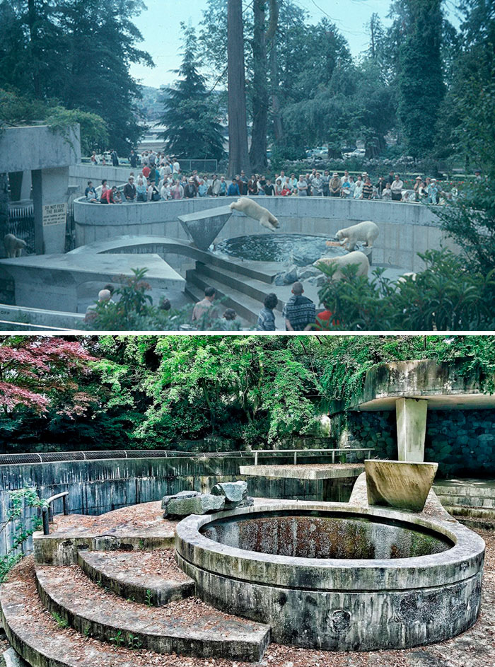 Abandoned Polar Bear Enclosure. Vancouver, BC