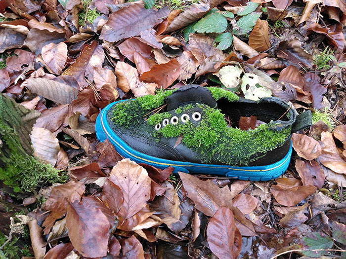 This Abandoned Shoe I Found Deep In The Forest