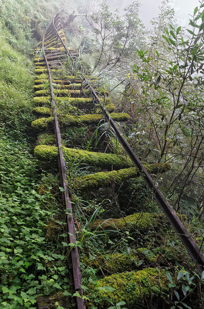 This Abandoned Railroad In Hemlock Forest Taiwan