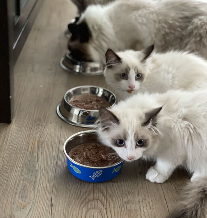 50 Things That Are Actually Scams Yet We Don't Notice Them Because They're So Normalized