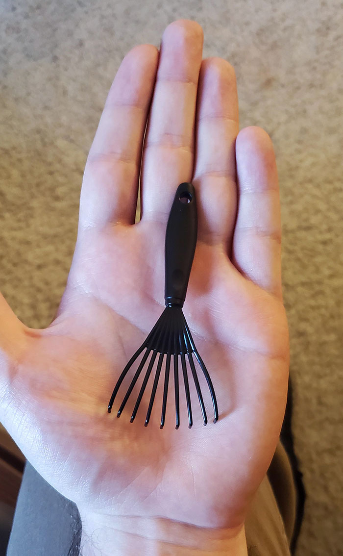 My Girlfriend Ordered Me A Back Scratcher, What Came Was Comical