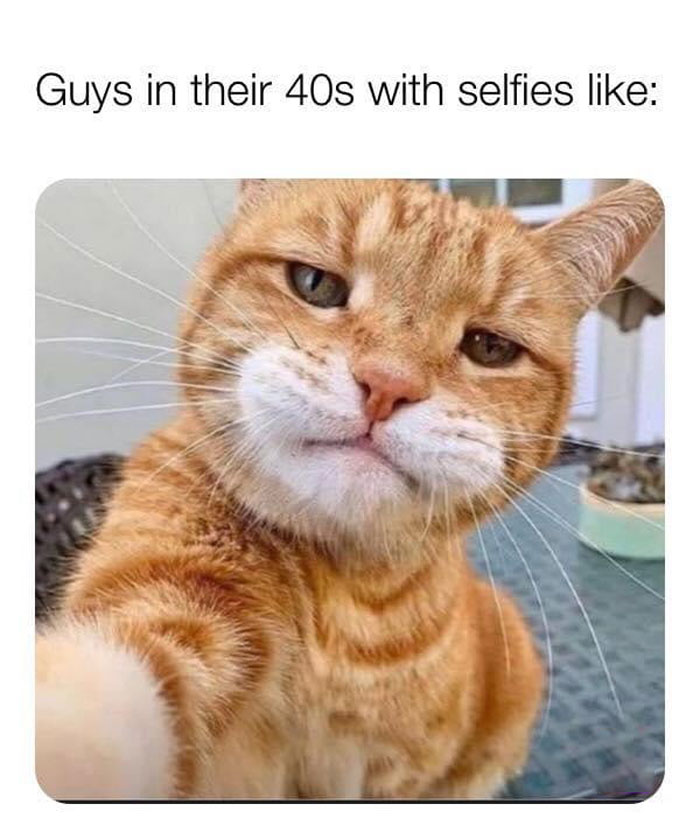 Orange cat taking a selfie with a humorous expression, embodying life in your 40s.