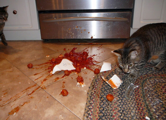 Sherman Loves Meatballs!