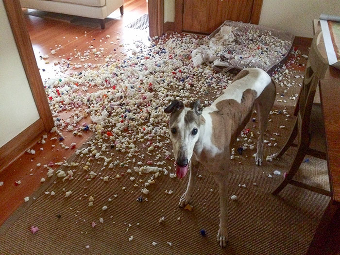 Went Outside For 15 Minutes And Found This Mess