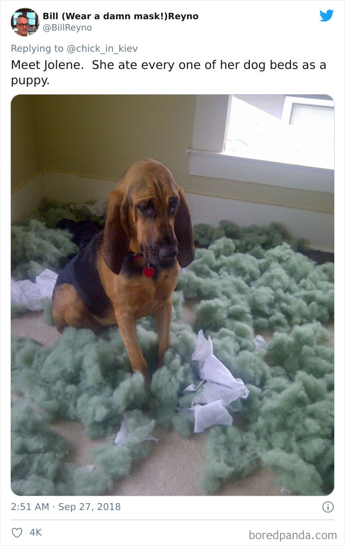 She Looks Very Guilty. And Remorseful