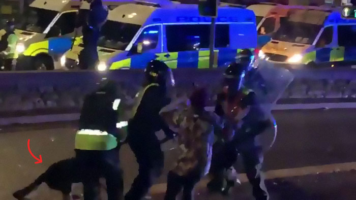 'He Did What He Was Taught': Police Dog Bites A Cop Who Brutalized A Protestor