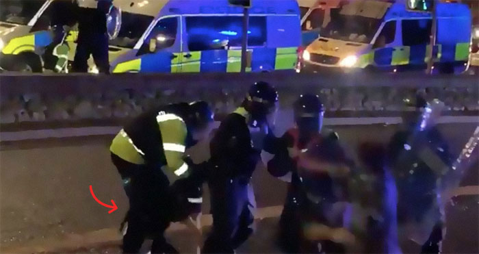 'He Did What He Was Taught': Police Dog Bites A Cop Who Brutalized A Protestor