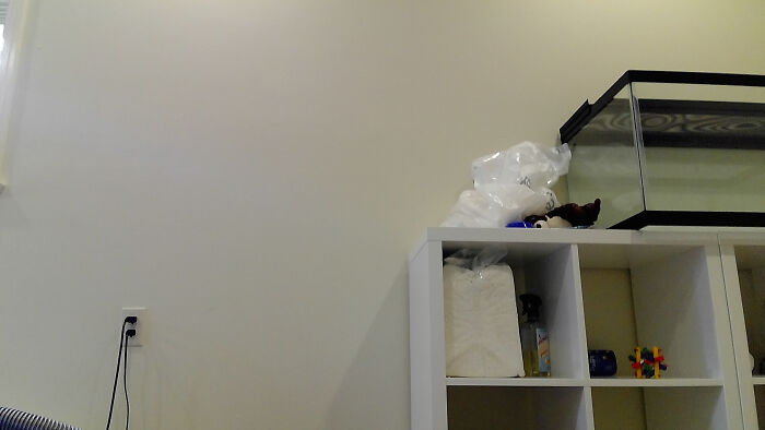 A Shelf Thing Full Of Hamster Things ( The Aquariam Is Not Actually Her Real Cage)