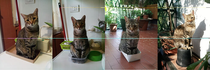 Nello's Original Chairs